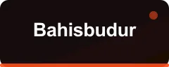 Bahisbudur logosu