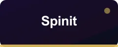 Spinit logosu
